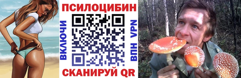 Галлюциногенные грибы ЛСД Славгород